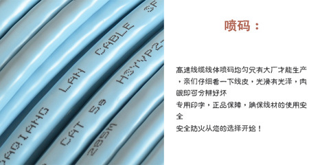 超五类双屏蔽网络线 连接未来的高速通道
